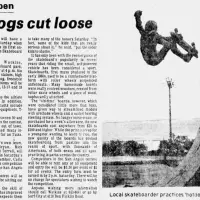 Surf City - San Angelo Texas - San Angelo Standard-Times Fri, Jul 20, 1979 ·Page 17