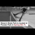 Stewy&#039;s Skate Park