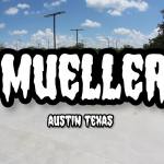 Mueller Skatepark Austin Texas