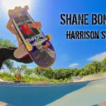 Shane Bonuchi-Harrison Street DIY
