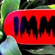 Immortal Skateboards Deck Review