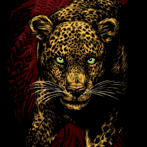 jamie-thomas-leopard-closeup