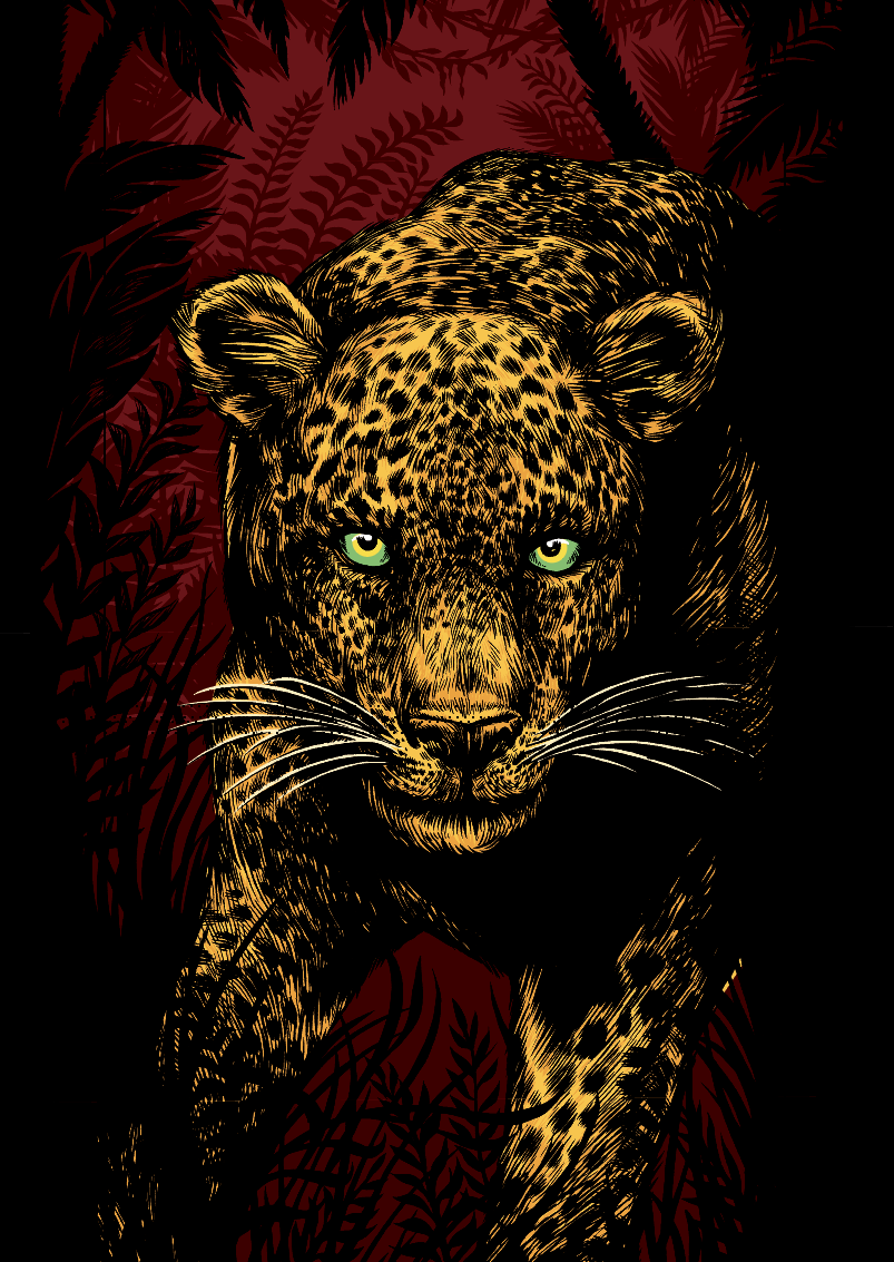 jamie-thomas-leopard-closeup